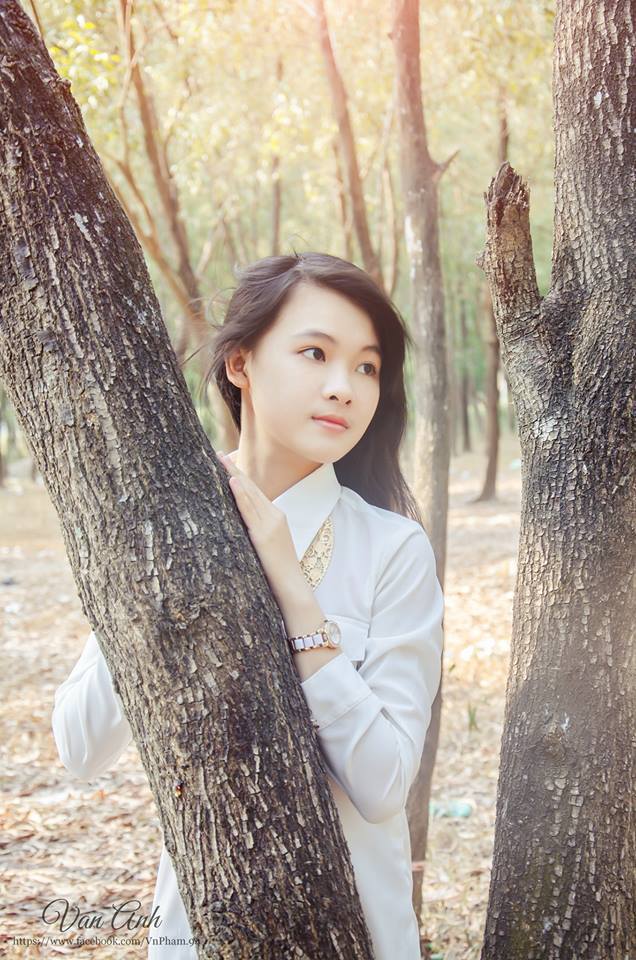 宝马山奇案完整版在线播放粤语